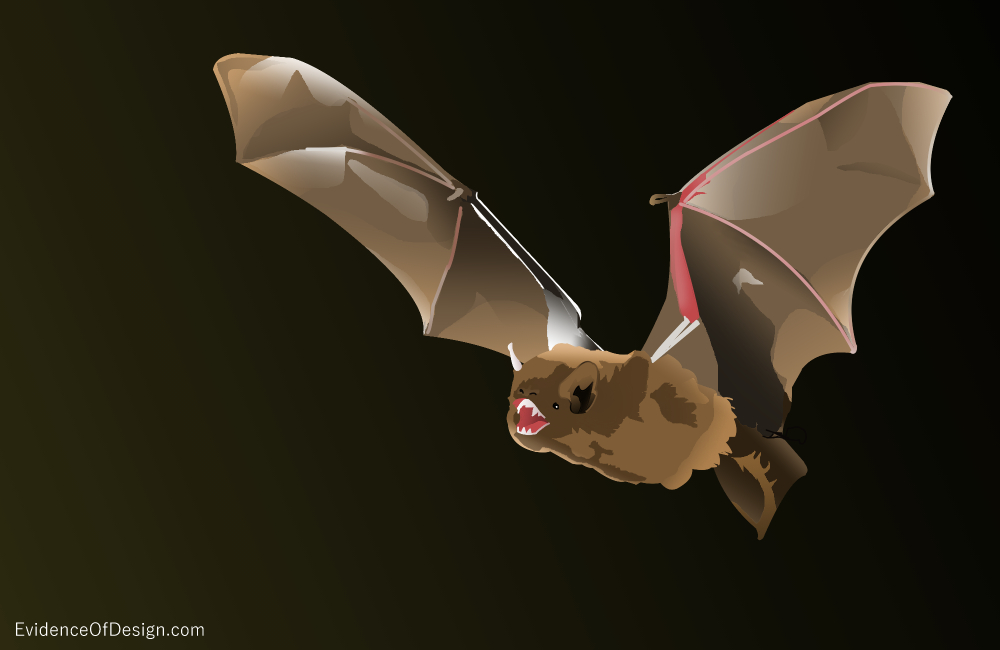 Everyone's supposed to know that bats are pretty much just a nuisance, But are they really? Find out the truth by clicking on the picture above.